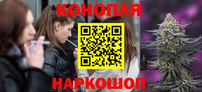 spice Севастополь